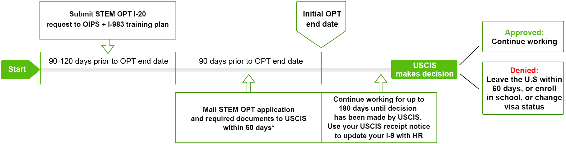 opt timeline